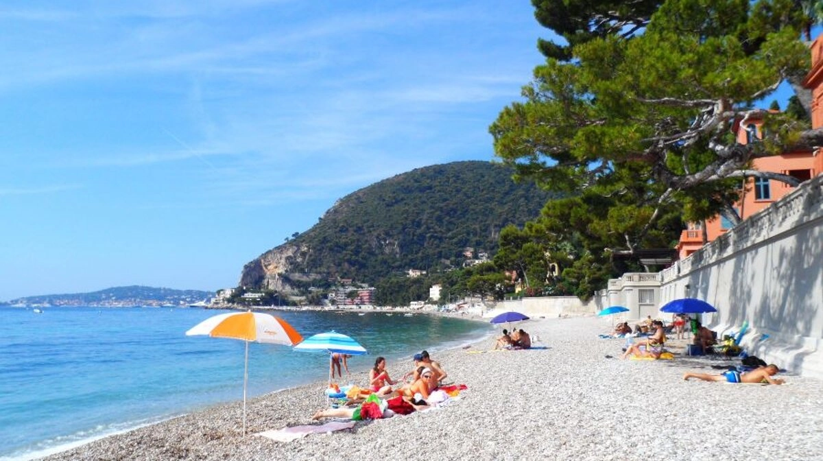 8. Eze - A varázslatos közvilág- 1