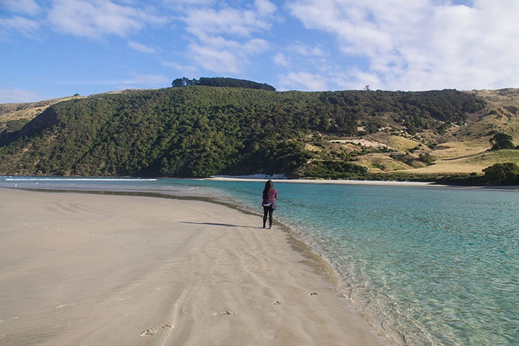 Allans Strand tenger hőmérséklete
