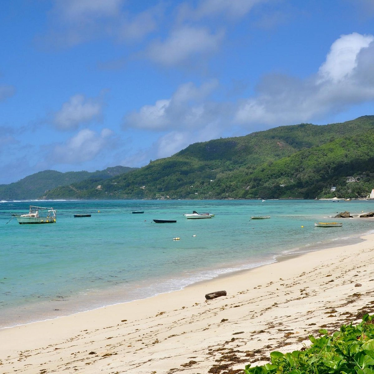 Anse Royale  strand - Mahé