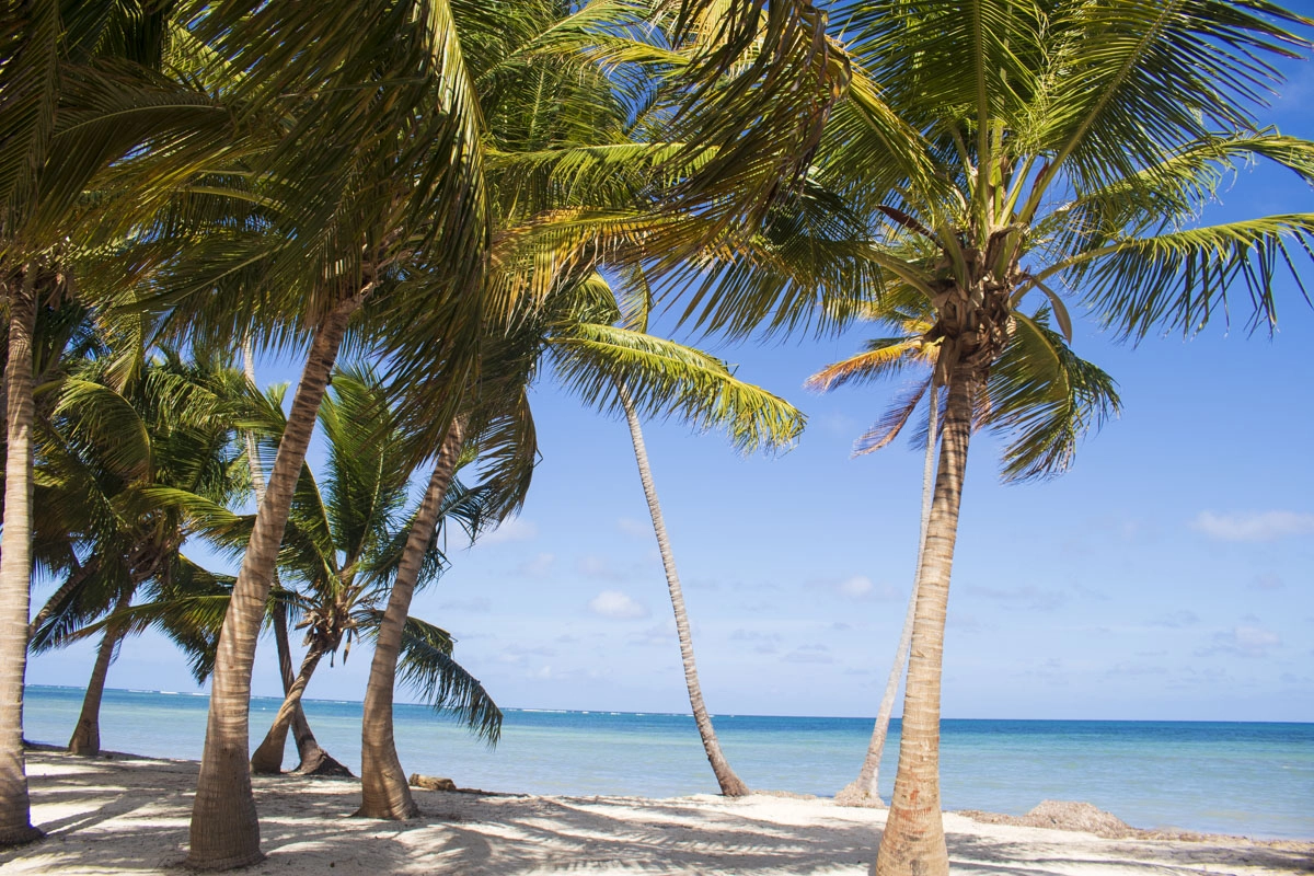  Cabeza de Toro  strand - Dominikai Köztársaság