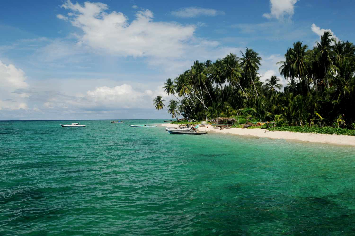  Derawan  Island  strand - Kalimantan
