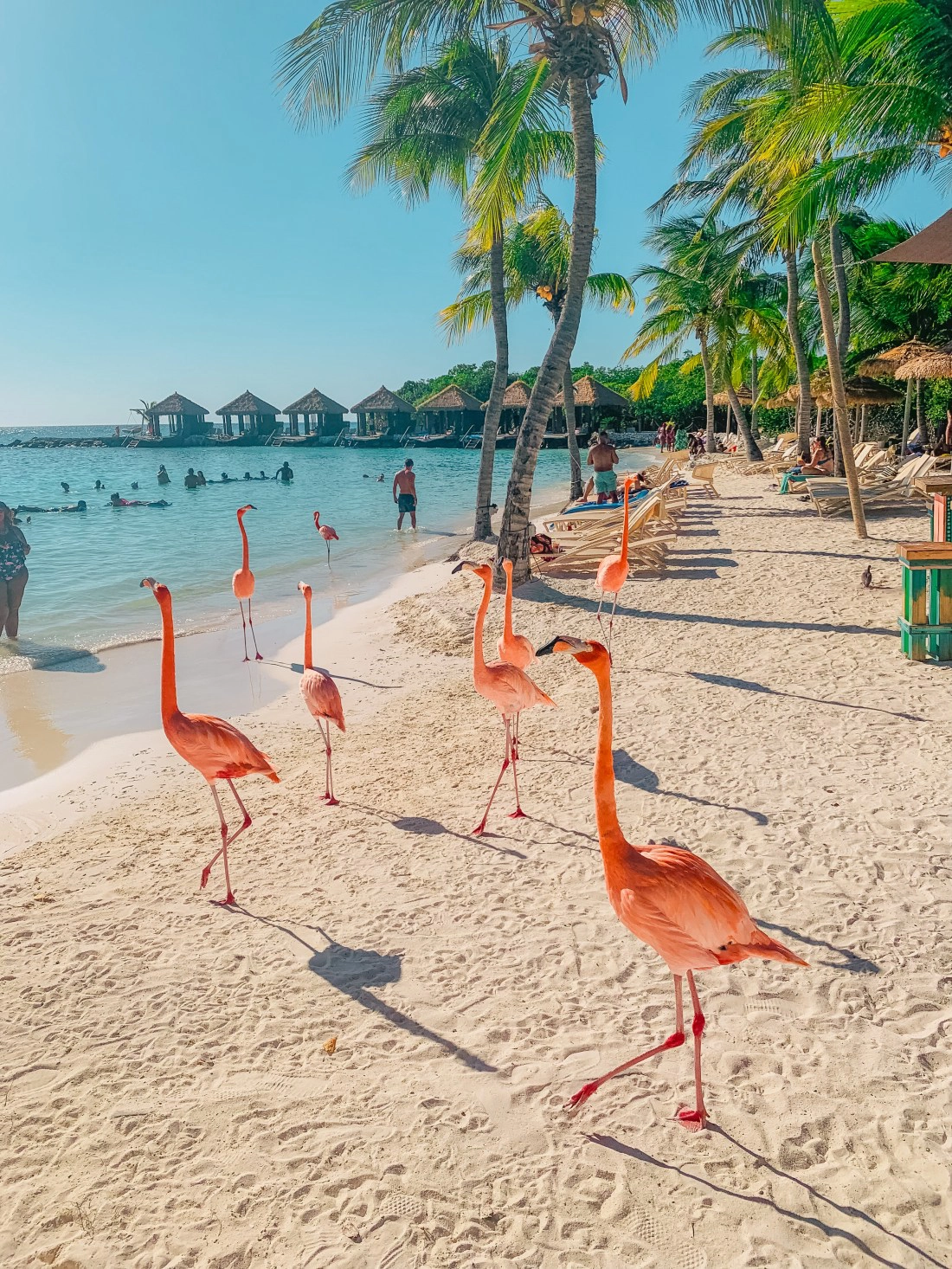  Flamingo  strand - Costa Rica csendes-óceáni partja