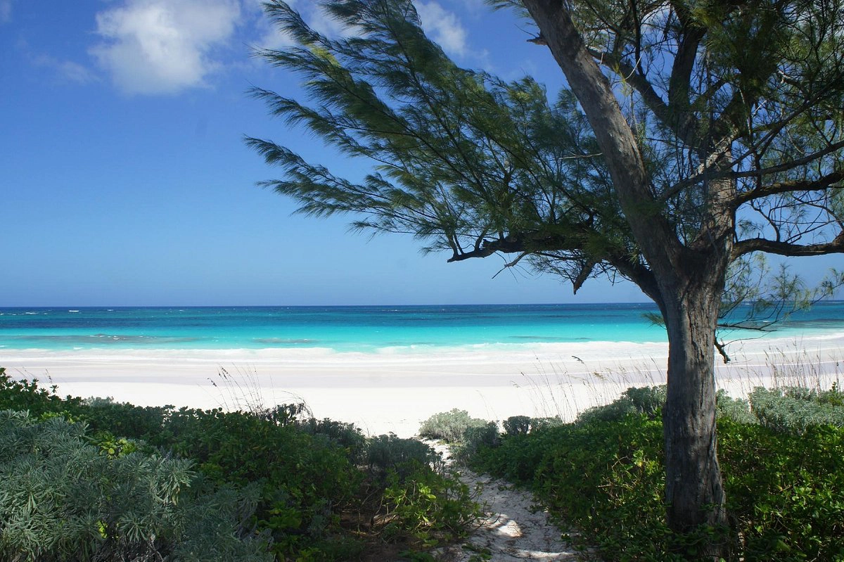  French Leave  strand - Eleuthera