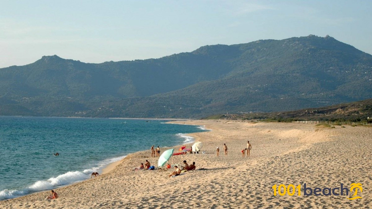  Laurousu  strand - Corsica