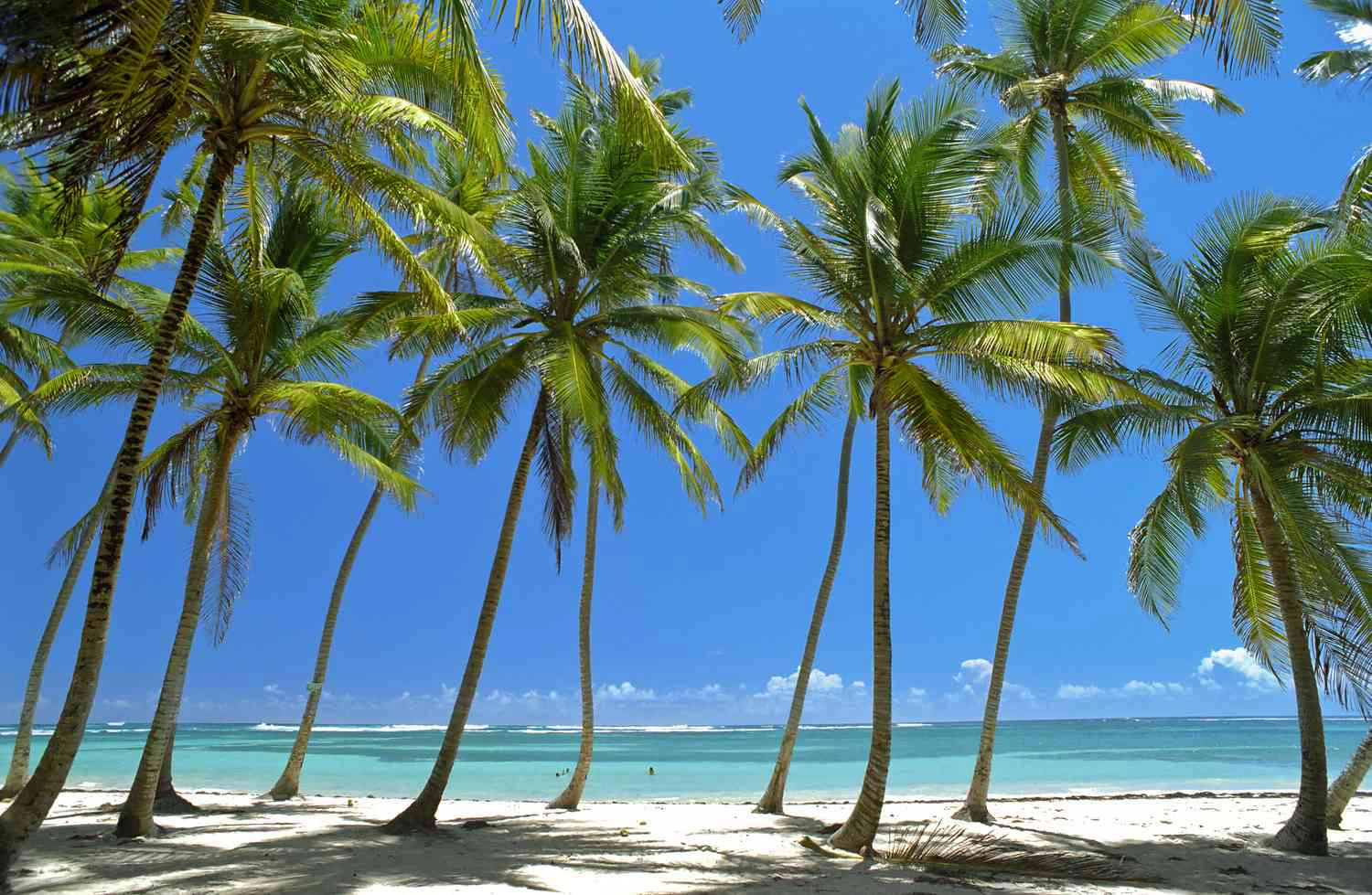  Martinica  strand - Brač-sziget