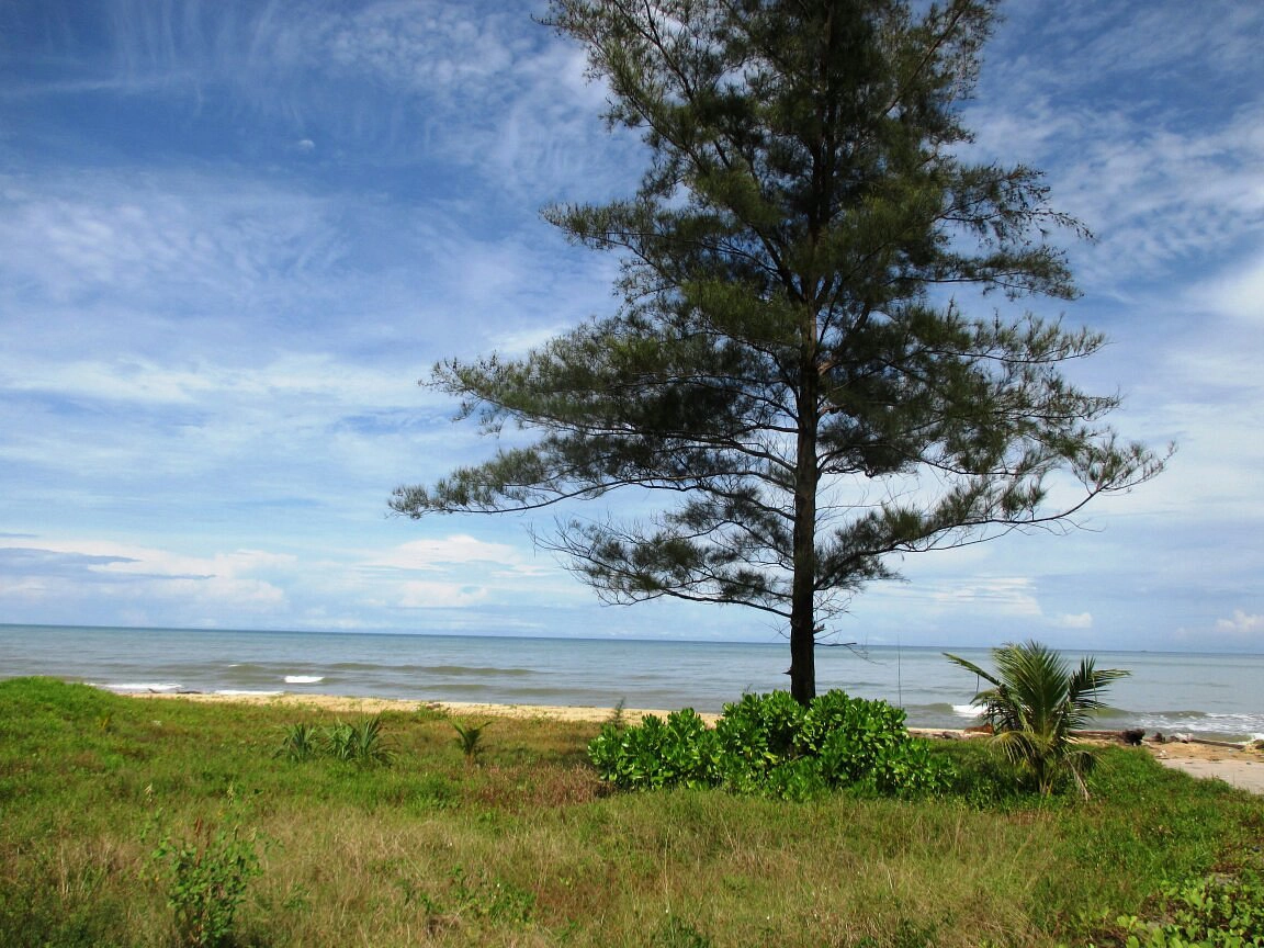 Meragang  strand - Brunei