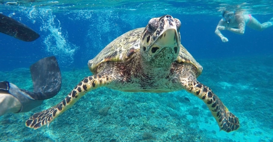 Navagio Öböl, Görögország- 2