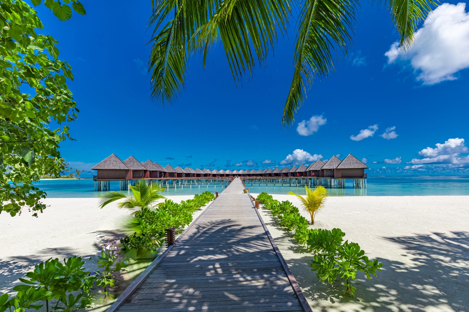  Olhuveli Island  strand - Maldives