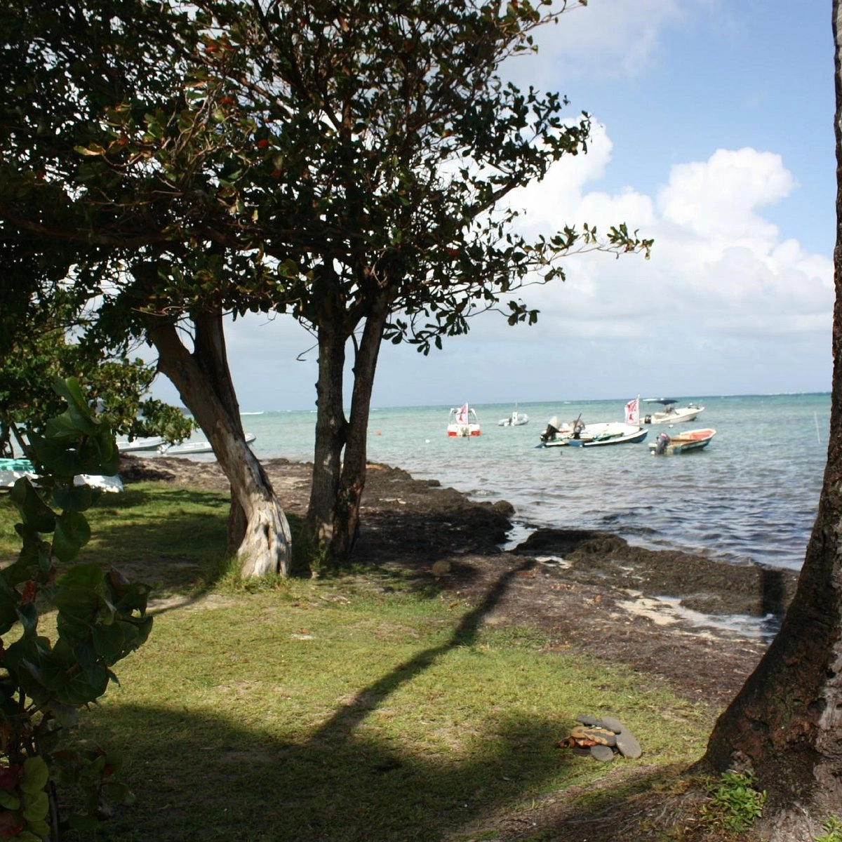  Pointe Faula  strand - Martinique