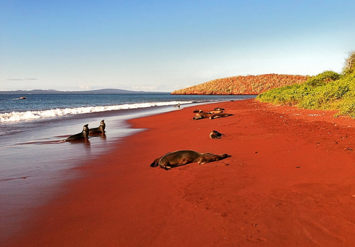  Rabida  strand - Galápagos-szigetek