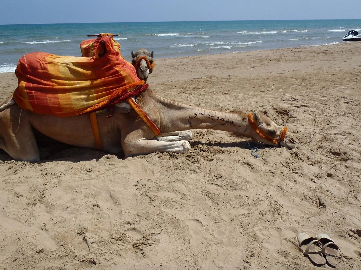  Saidia  strand - Marokkó
