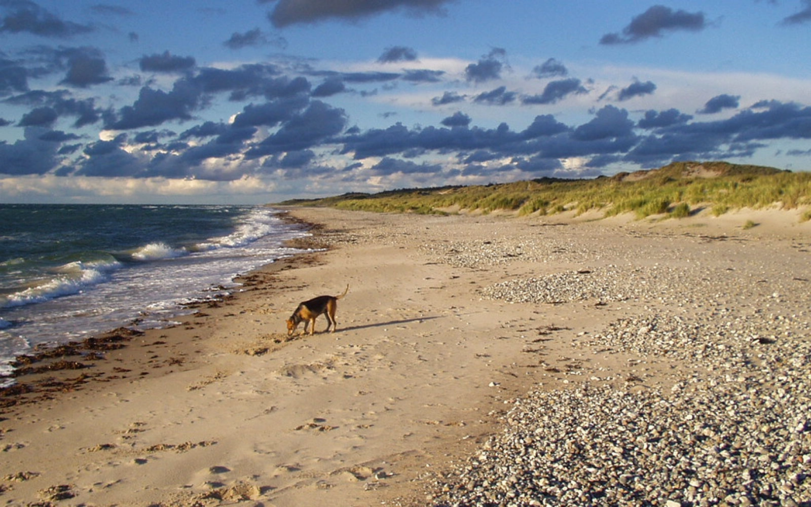 Tisvildeleje Strand tenger hőmérséklete