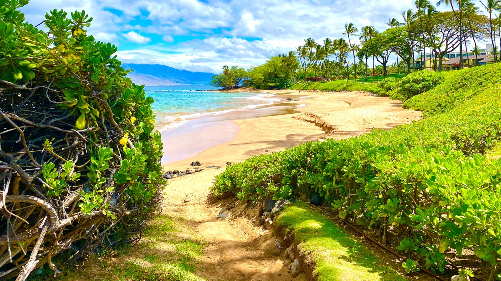  Wailea  strand - Hawaii Islands