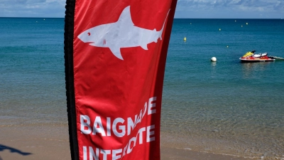 Baie des Citrons 