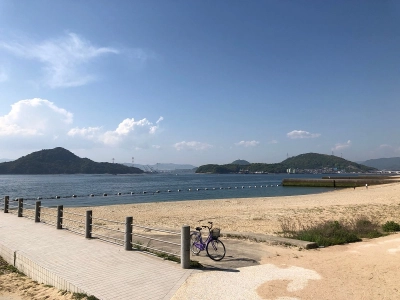 Bayside  Saka