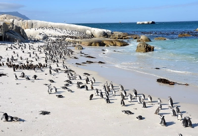 Boulders strand