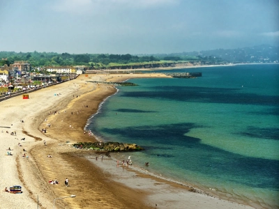 Bray 