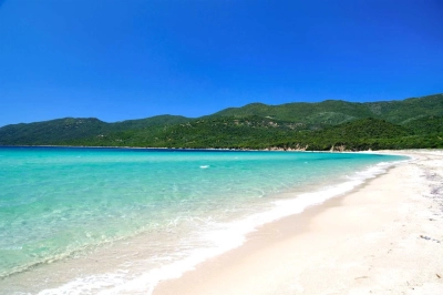 Calvi 