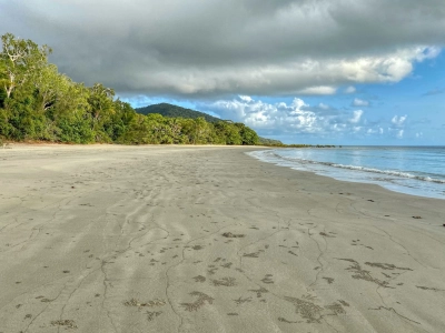 Cape Tribulation 