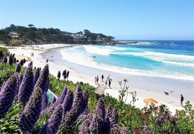 Carmel 