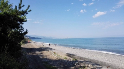 Chakvi 