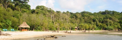 Chidiya Tapu 