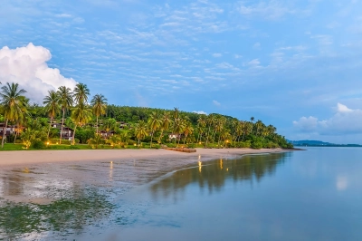 Coconut Island 