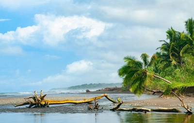 Corcovado 