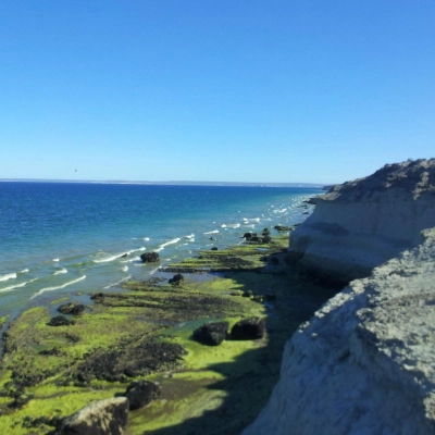 El Doradillo 