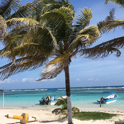 El Majahual 