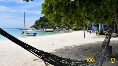 Flora Bay 