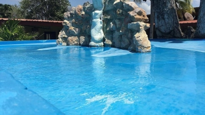 Gorgona 