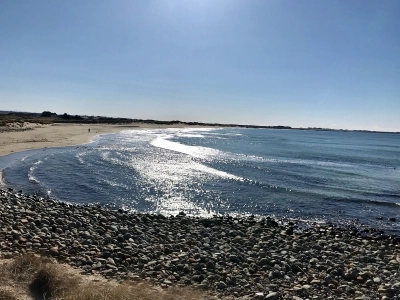 Hellestø 