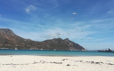 Hout Bay 