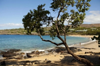 Hulopo'e Bay strand