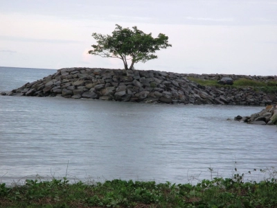 Jerudong 