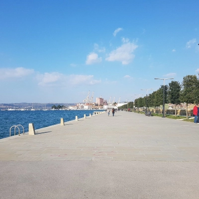Koper 