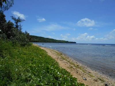 Lau Lau 