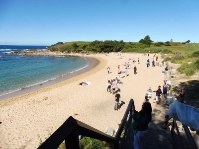 Little Bay 