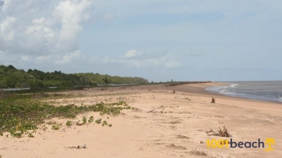 Matapica 