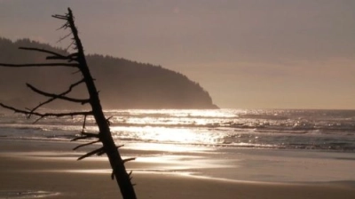 Pacific City strand