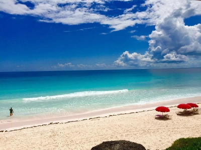 Pink Sands 