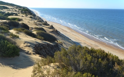 Playa de Castilla