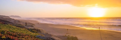 Point Reyes strand