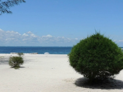Pointe-Denis 