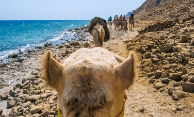 Ras Abu Galoum 