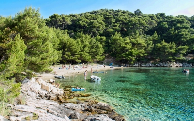 Saplunara 