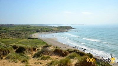 Slack Dune 