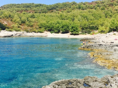 Srebrna 