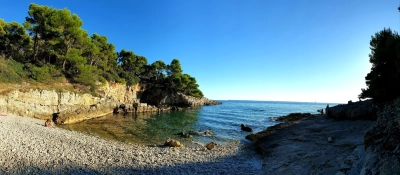 Stoja 